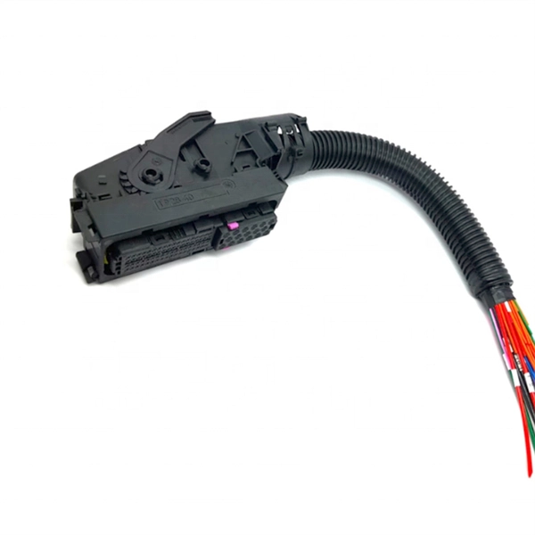 Wiring for dedicated plugs in distribution boxes