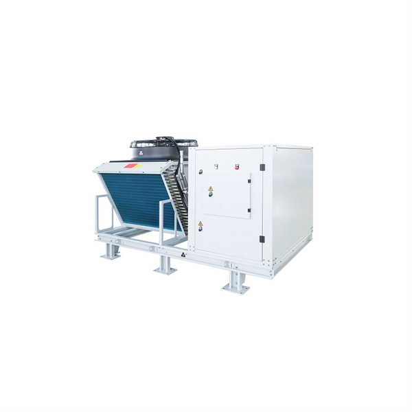 Which type of cold aisle server rack is best in Palestine 