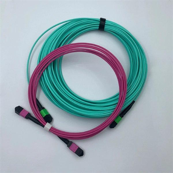 The Role of Dual-Fiber Optic Module Switches