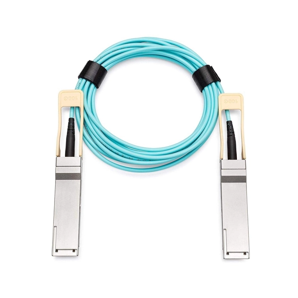 Dual-line fiber optic switch module
